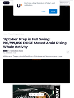 'Uptober' Prep in Full Swing: 196,799,056 DOGE Moved Amid Rising Whale Activity - U.Today