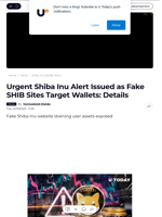 Urgent Shiba Inu Alert Issued as Fake SHIB Sites Target Wallets: Details - U.Today
