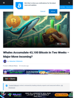 Whales Accumulate 43,100 Bitcoin In Two Weeks – Major Move Incoming? | Bitcoinist.com