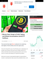 Bitcoin Sees Surge in Profit-Taking and Whale Accumulation Amid ETF Outflows - NullTX