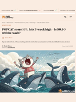 Popcat rallies 16% amid aggressive whale accumulation