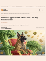 Broccoli Crypto mania - Here's how CZ's dog became a star! - AMBCrypto