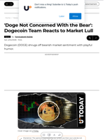'Doge Not Concerned With the Bear': Dogecoin Team Reacts to Market Lull - U.Today