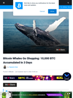 Bitcoin Whales Go Shopping: 10,000 BTC Accumulated In 3 Days | Bitcoinist.com