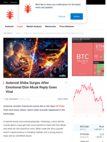 Asteroid Shiba Surges After Emotional Elon Musk Reply Goes Viral - NullTX