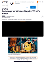 DOGE Surges 1,023% on Major Exchange as Whales Step In: What's Next?