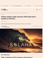 Solana whales make massive $836 mln move - Upside to $260 IF... - AMBCrypto