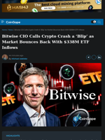 Bitwise CIO Calls Crypto Crash a ‘Blip’ as Market Bounces Back With $338M ETF Inflows