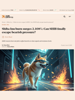 Shiba Inu burn surges 2,408%: Can SHIB finally escape bearish pressure? - AMBCrypto