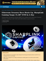 Ethereum Treasury Race Heats Up, SharpLink Gaming Snaps 31,487 ETH In A Day