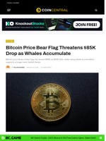 Bitcoin Price Bear Flag Threatens $85K Drop as Whales Accumulate