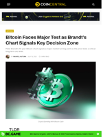 Bitcoin Faces Major Test as Brandt’s Chart Signals Key Decision Zone - CoinCentral