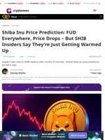 Shiba Inu Price Prediction: FUD Everywhere, Price Drops – But SHIB Insiders Say They’re Just Getting Warmed Up