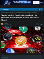 Crypto Market Crash: Glassnode & 10x Research Warn Deeper Bitcoin Price Fall Ahead