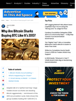 Why Are Bitcoin Sharks Buying BTC Like It’s 2013?