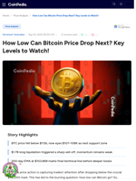 How Low Can Bitcoin Price Drop Next? Key Levels to Watch!