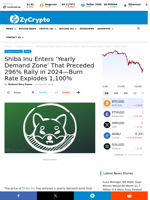 Shiba Inu Enters 'Yearly Demand Zone' That Preceded 296% Rally in 2024—Burn Rate Explodes 1,100% ⋆ ZyCrypto