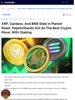 XRP, Cardano, And BNB Slide In Market Reset: PepetoStands Out As The Best Crypto Move, With Staking