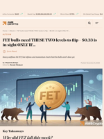 FET bulls need THESE TWO levels to flip – $0.33 is in sight ONLY IF… - AMBCrypto