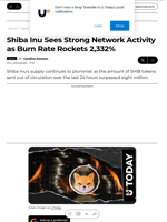 Shiba Inu Sees Strong Network Activity as Burn Rate Rockets 2,332% - U.Today