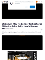 Shibarium May No Longer Turbocharge Shiba Inu Price Rally, Here's Reason - U.Today