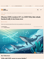 Plasma [XPL] rockets 87% to ATH! Why this whale-backed rally is far from over - AMBCrypto