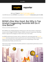 BONK's Rise Was Good, But Why Is Top Analyst Suggesting Panshibi Will Do It One Better?