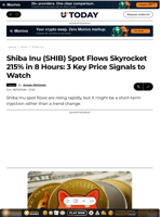 Shiba Inu (SHIB) Spot Flows Skyrocket 215% in 8 Hours: 3 Key Price Signals to Watch - U.Today