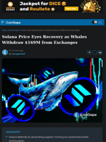 Solana Price Eyes Recovery as Whales Withdraw $169M