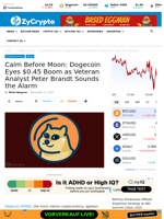 Calm Before Moon: Dogecoin Eyes $0.45 Boom as Veteran Analyst Peter Brandt Sounds the Alarm ⋆ ZyCrypto