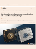 Bitcoin wallets hit a 5-month low as small traders exit – Are whales buying the dip? - AMBCrypto