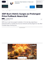 XRP Burn Metric Surges as Prolonged Price Pullback Nears End - U.Today