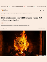 BNB crypto soars: How $1B burn and record DEX volume impact prices - AMBCrypto