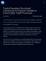 Tradull Develops Structured Framework to Improve Visibility in Commodity Trade Processes | Visionary Financial