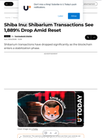 Shiba Inu: Shibarium Transactions See 1,889% Drop Amid Reset - U.Today