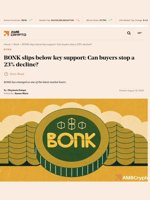 BONK slips below key support: Can buyers stop a 23% decline? - AMBCrypto