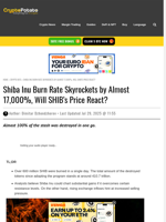 Shiba Inu Burn Rate Skyrockets by Almost 17,000%, Will SHIB's Price React?