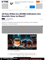 All Key Shiba Inu (SHIB) Indicators Are Bearish: How to React?