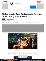 Shibarium to Rug Pull Agents, Beware of Incoming Crackdown