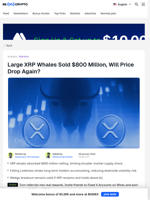 Large XRP Whales Just Sold Big, Will Price Drop Again?