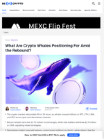 Crypto Whales Move Millions as Market Rebounds 4%