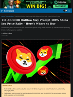 111.8B SHIB Outflow May Prompt 108% Shiba Inu Price Rally - Here's Where to Buy