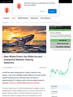 New Whale Enters the Shiba Inu and Avalanche Markets, Raising Eyebrows - NullTX