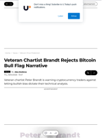 Veteran Chartist Brandt Rejects Bitcoin Bull Flag Narrative - U.Today
