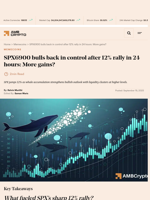 SPX6900 bulls back in control after 12% rally in 24 hours: More gains? - AMBCrypto