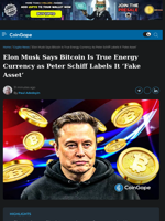 Elon Musk Says Bitcoin Is True Energy Currency