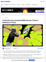 Are You Watching These 4 High-Potential BNB Season Altcoins?