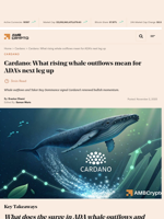 Cardano: What rising whale outflows mean for ADA's next leg up - AMBCrypto
