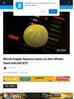 Bitcoin Supply Squeeze Looms As New Whales Stack 600,000 BTC | Bitcoinist.com