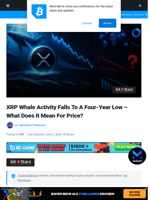 XRP Whale Activity Falls To A Four-Year Low – What Does It Mean For Price? | Bitcoinist.com